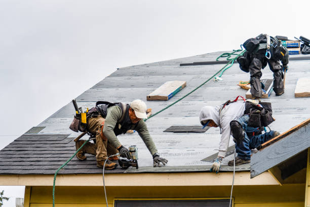 Professional Storm Damage Roof Repair technician working in League City, TX
